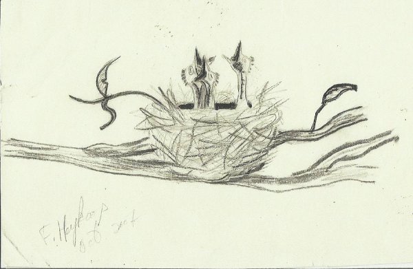 Гнездо рисунок для детей 1 класса нарисовать