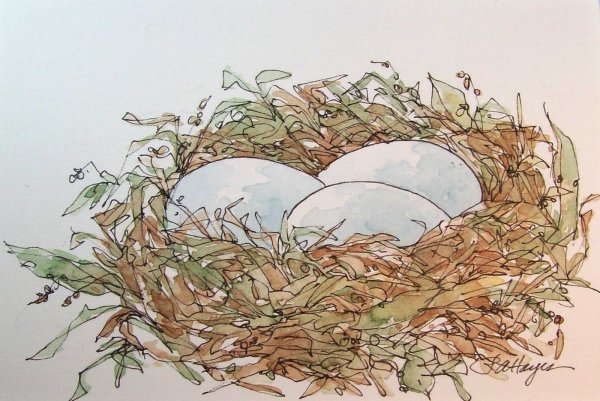 Птица в гнезде акварель