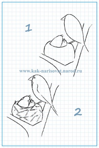 Пошагово рисунок гнезда