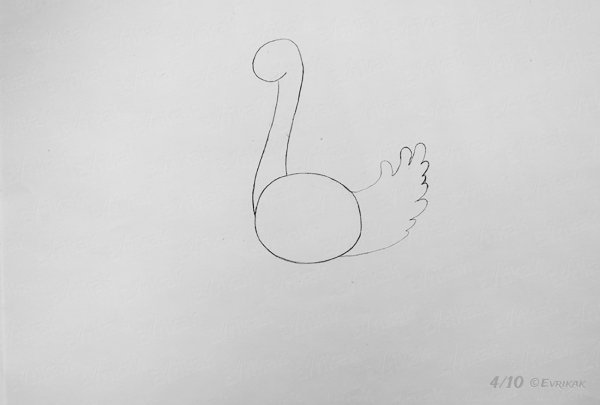 Страус рисунок карандашом