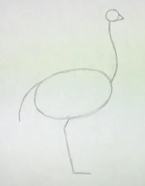 Поэтапное рисование страуса