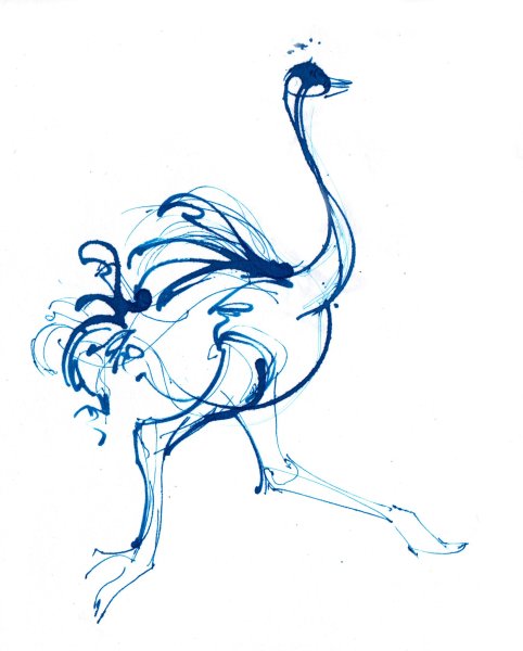 Страус рисунок