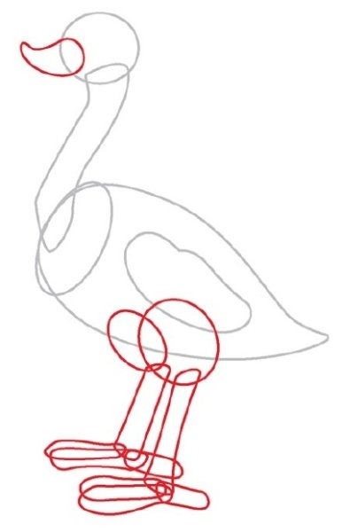 Страус эскиз