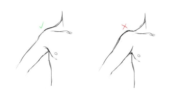 Ключицы туториал