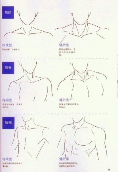 Линии разрезов кожи головы и шеи