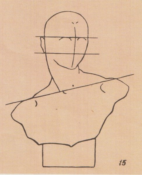 Лопатка и ключица анатомия