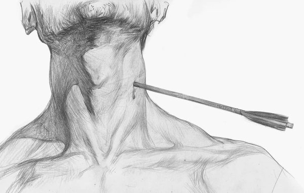 Женская грудь зарисовки