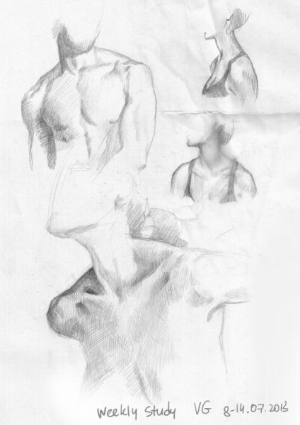 Рисование шеи и ключицы