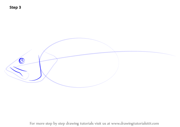 Рисунок окунь по этапно