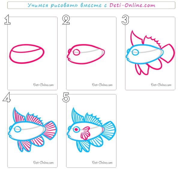 Поэтапное рисование рыбы для дошкольников