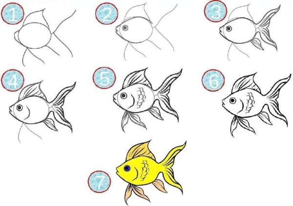 Поэтапное рисование рыбки в средней группе