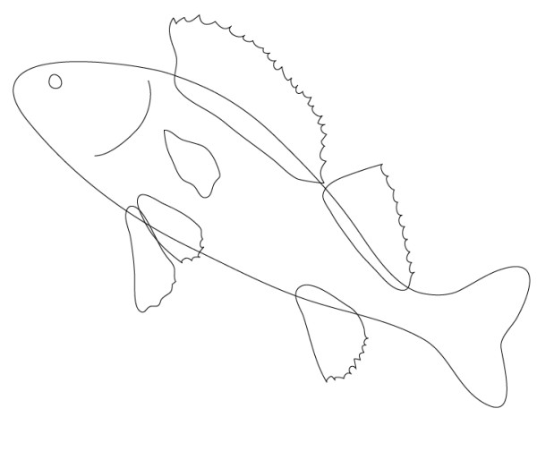 Рисунок окуня поэтапно