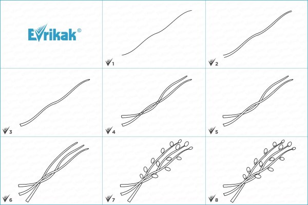 Поэтапное рисование ветка