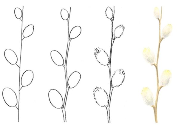 Веточки для рисования