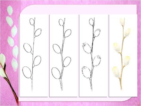 Этапы рисования веточки вербы