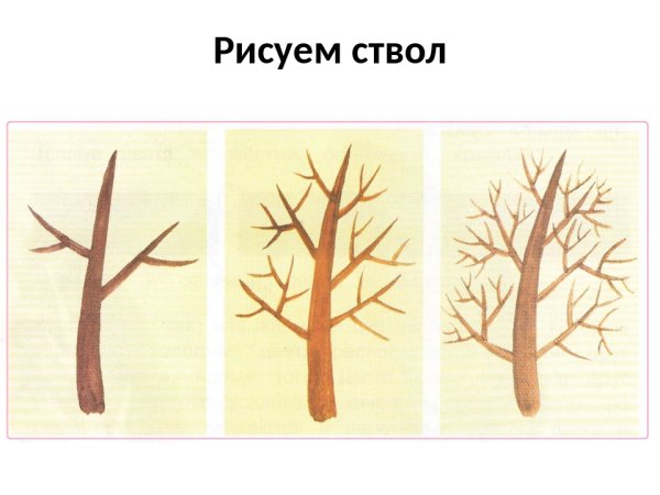 Средняя группа рисование развилистое дерево