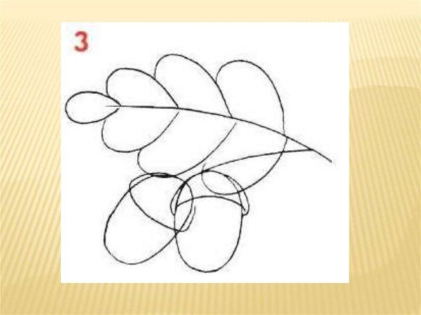 Рисование ветка дуба в подготовительной группе