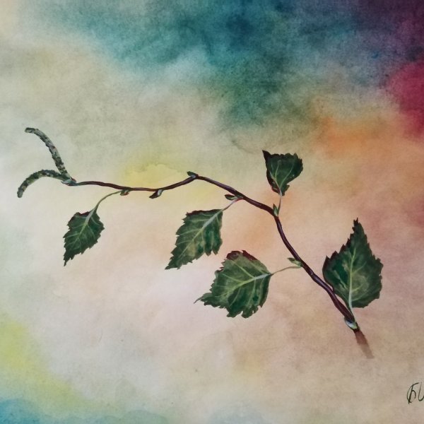 Рисование ветка березы