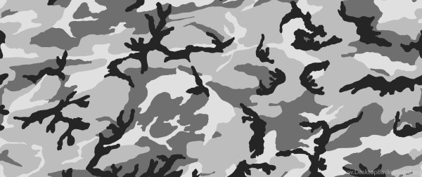 Камуфляж структура