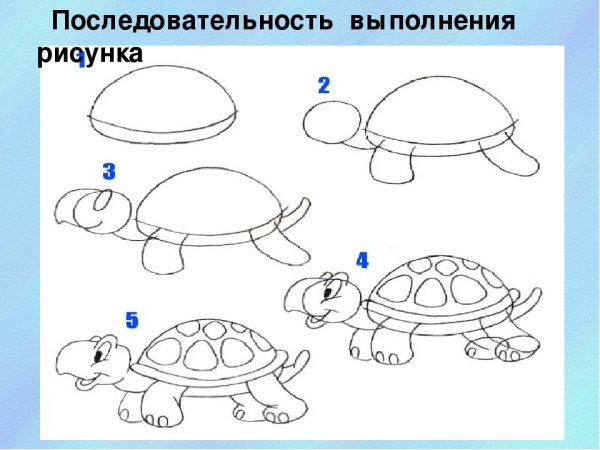 Последовательность рисования для дошкольников