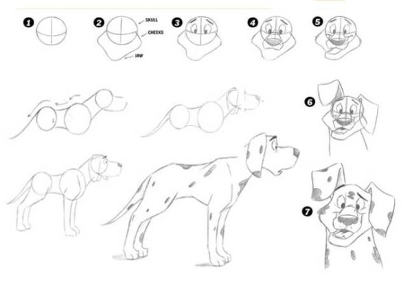 Как нарисовать собаку для детей поэтапно