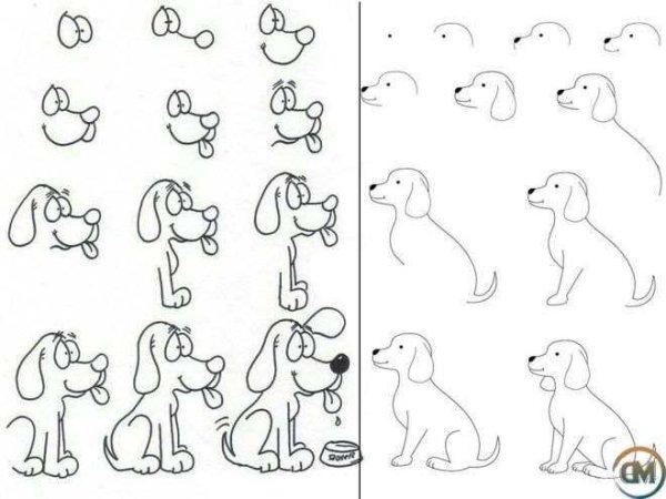 Собака рисунок карандашом поэтапно для начинающих