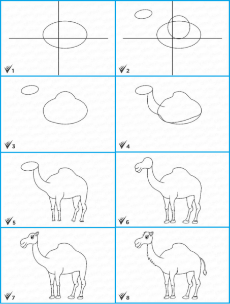 Поэтапное рисование верблюда