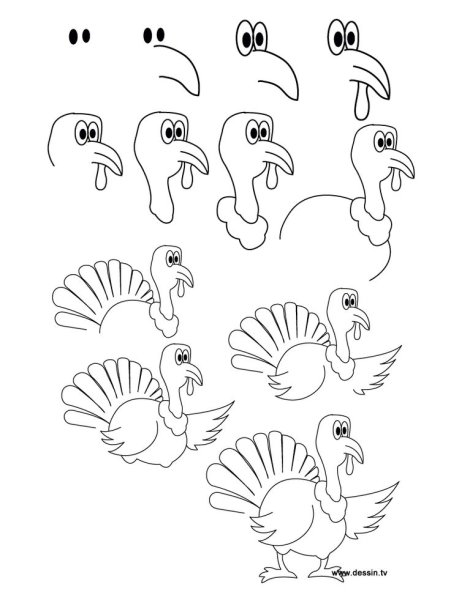 Индюк рисунок поэтапно