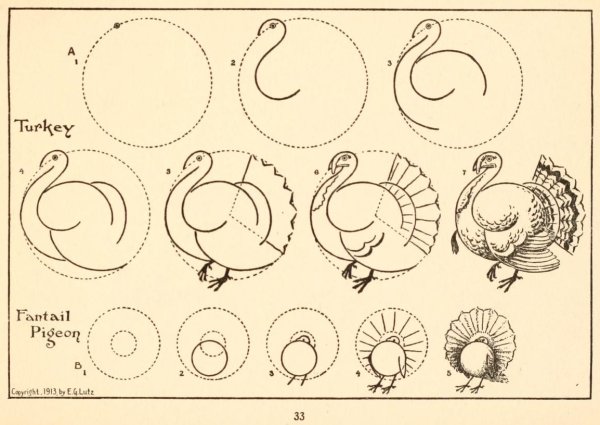 Поэтапное рисование индюк для дошкольников