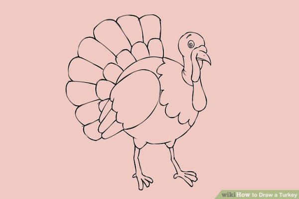 Индюшка для срисовки