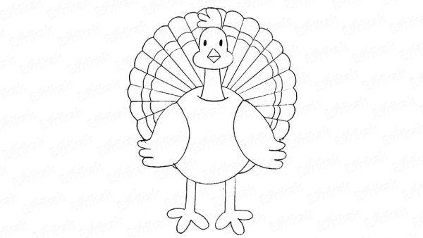 Индюк рисунок