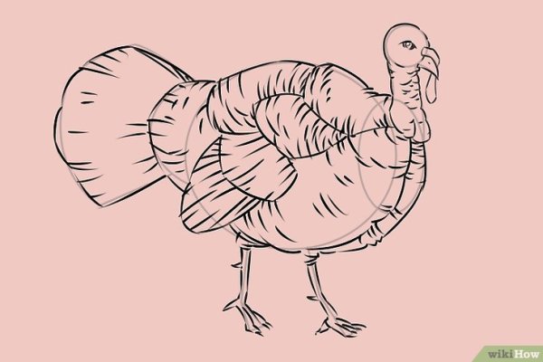 Важный индюк