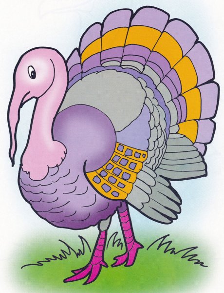 Индюк рисунок поэтапно