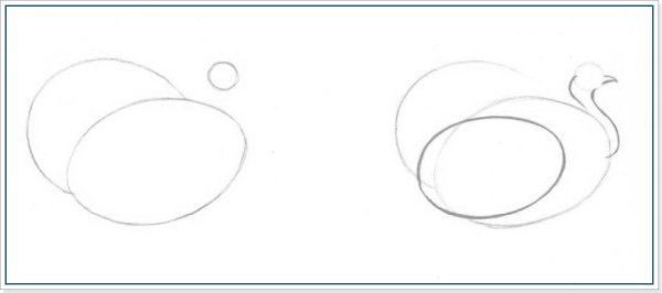 Индюк раскраска