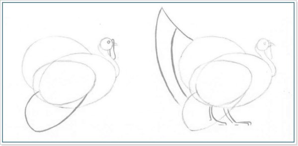 Индюк рисунок карандашом цветной