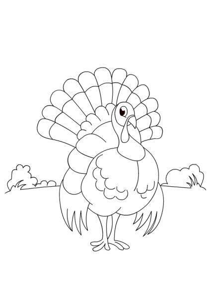 Рисование домашних птиц