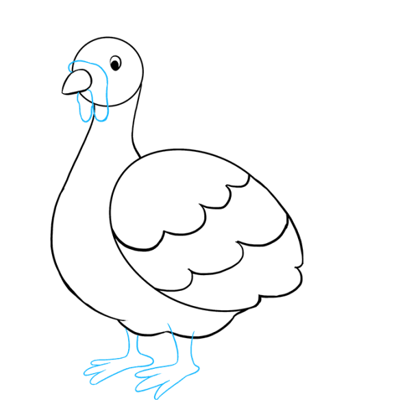 Поэтапное рисование индюка