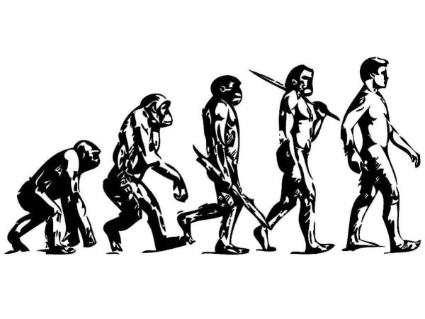 Эволюция из обезьяны в человека