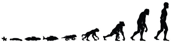 Эволюция от бактерии до человека