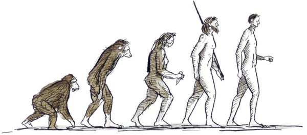 Зарисовки Дарвина