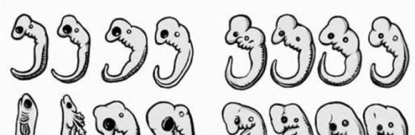 Ядерная мартышка Дарвин браслет