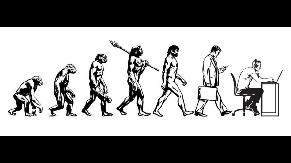 От обезьяны до человека