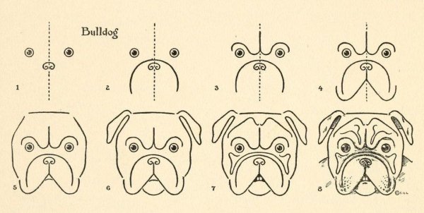 Морда собаки пошагово