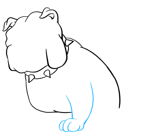 Бульдог рисунок поэтапно