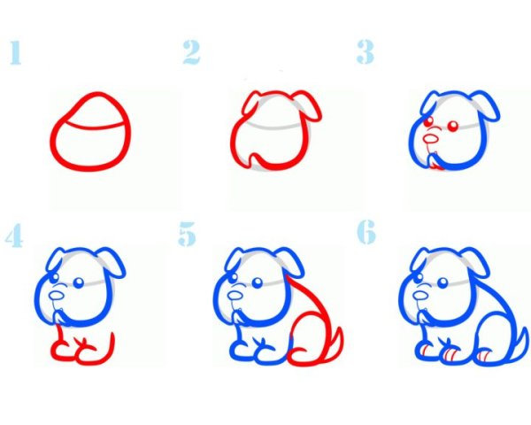 Как нарисовать скулдога поэтапно