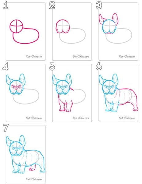 Как нарисовать французского бульдога легко