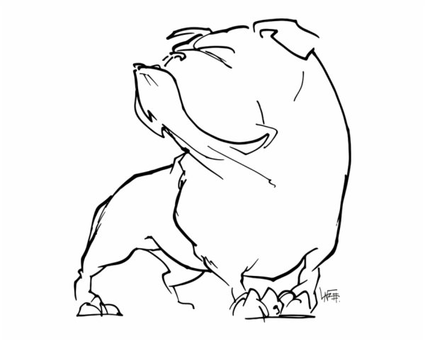 Поэтапное рисование бульдога