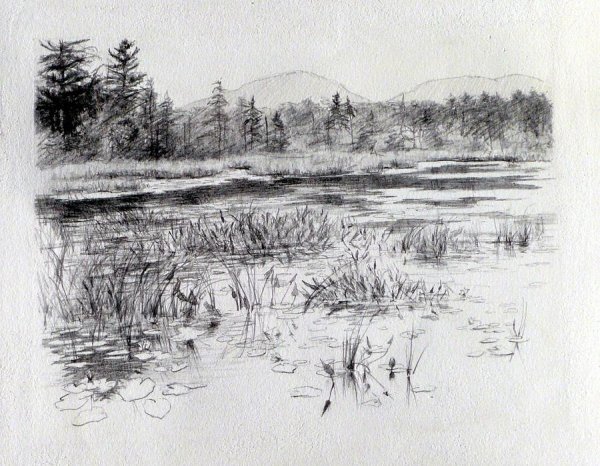 Пруд карандашом
