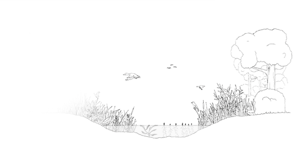 Болото карандашом для срисовки