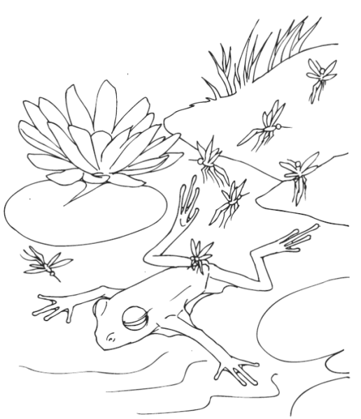 Болото раскраска